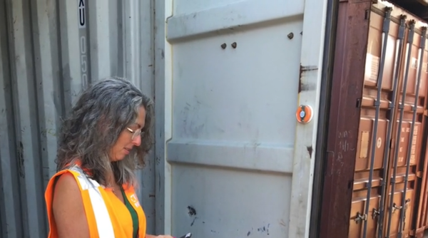 Babbler seal attached to a shipping container